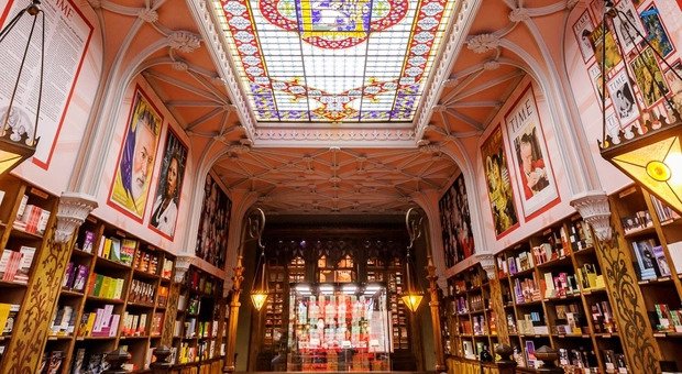 Imagem de Icónica Livraria Lello celebra 117 anos de vida
