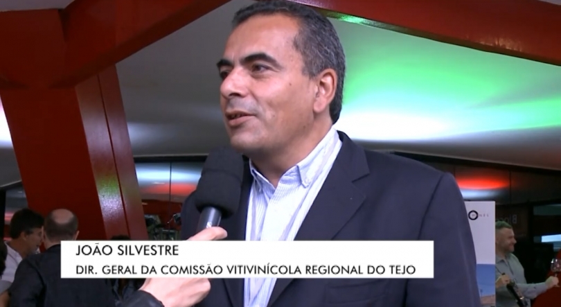 Imagem de Vinhos e Sabores de Portugal no Brasil