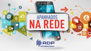 Imagem de Apanhados na Rede