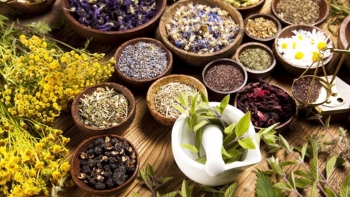 Imagem de A Ervan’área uma empresa de chá, especiarias e infusões