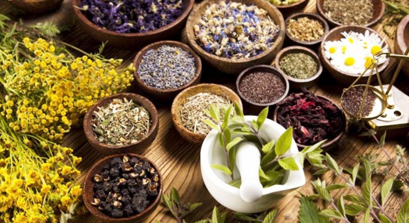 Imagem de A Ervan’área uma empresa de chá, especiarias e infusões