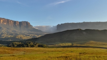 Imagem de Portugueses na Venezuela à beira da ilegalidade