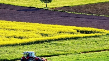 Imagem de Mapeamento dos agricultores e floricultores de origem portuguesa na Venezuela