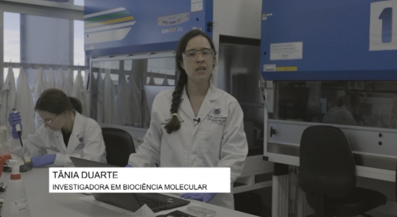 Imagem de Investigadora portuguesa do Pombal na Austrália