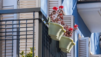 Imagem de Costa e Marcelo. Juízes do TC. China. Rui Nabeiro