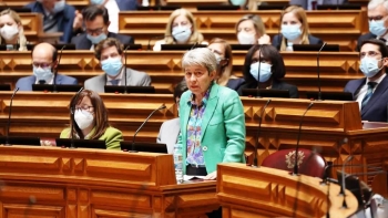 Imagem de Berta Nunes sobre o voto dos emigrantes portugueses