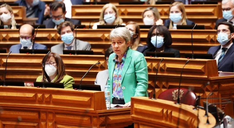 Imagem de Berta Nunes sobre o voto dos emigrantes portugueses