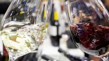 Imagem de 389 entidades e empresas portuguesas na ProWein 2023