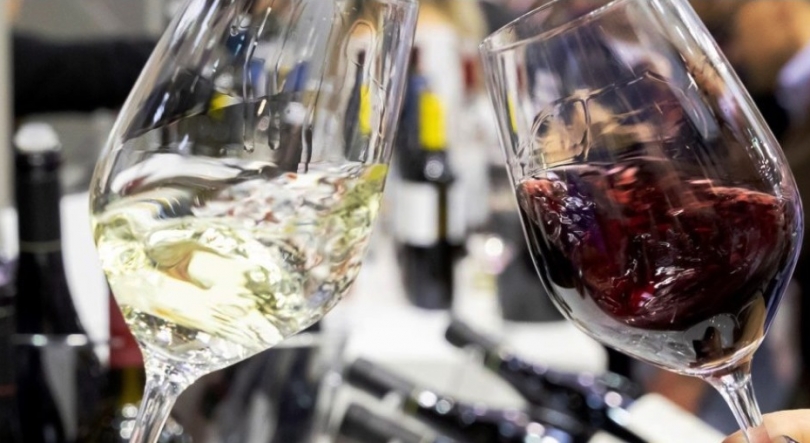 Imagem de 389 entidades e empresas portuguesas na ProWein 2023