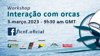Imagem de Workshop sobre interações de orcas