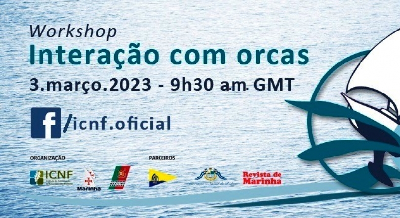 Imagem de Workshop sobre interações de orcas