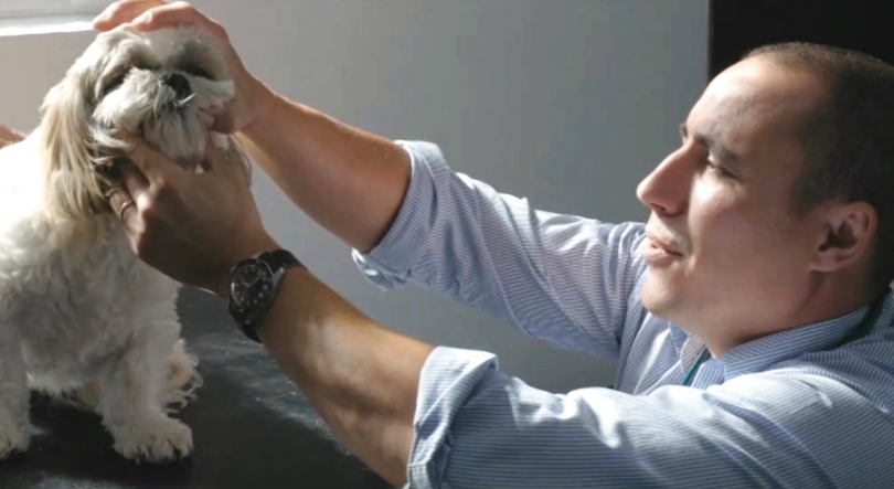 Imagem de Médico veterinário na Austrália