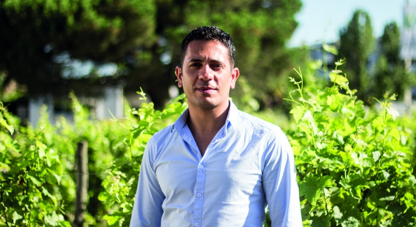 Imagem de Guilherme Martins, enólogo em Bordéus