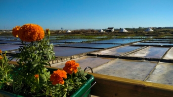 Imagem de Salinas de Aveiro