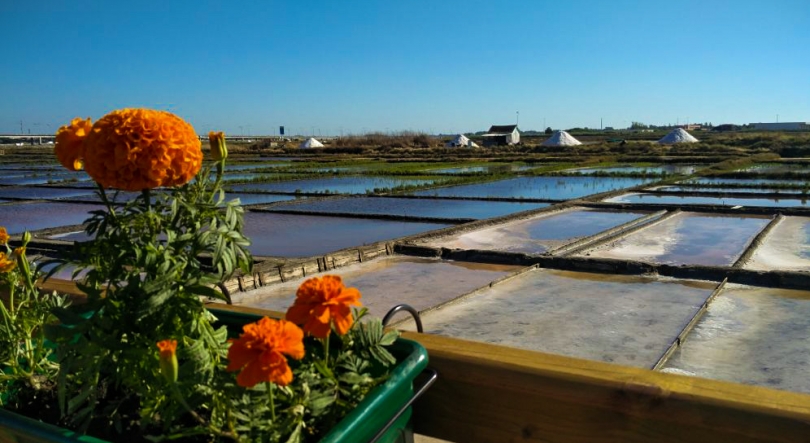 Imagem de Salinas de Aveiro