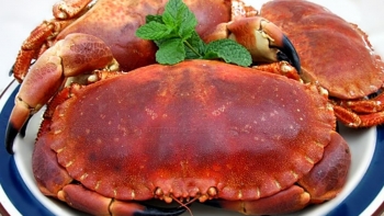 Imagem de Cresceu a exportação portuguesa de peixe congelado e crustáceos para a China