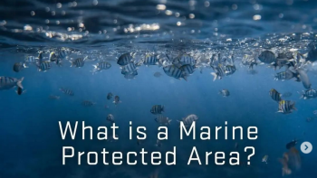 Imagem de Oceanum Liberandum: a maior limpeza subaquática de 2023