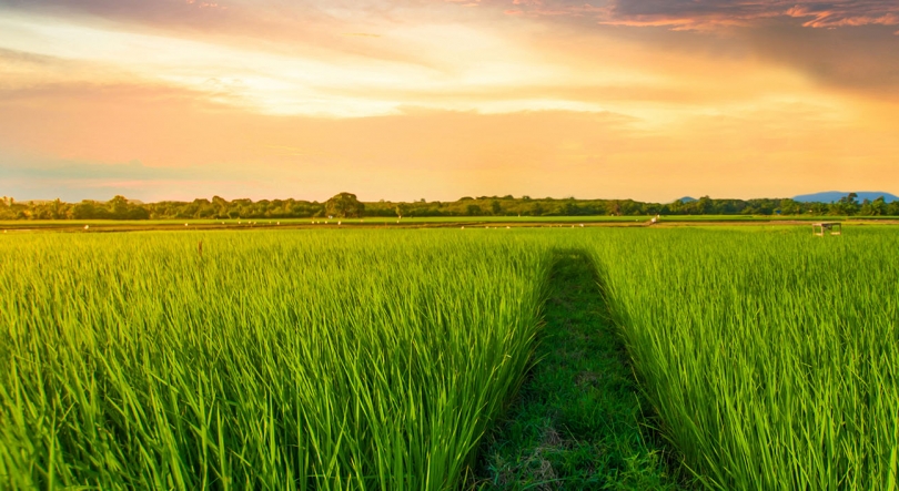 Imagem de Projeto Art Of Tasting Portugal