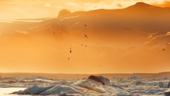 Imagem de Volta a aumentar a emigração portuguesa para a Islândia