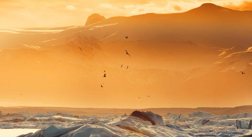 Imagem de Volta a aumentar a emigração portuguesa para a Islândia