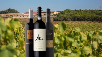 Imagem de Os vinhos portugueses por todo o lado