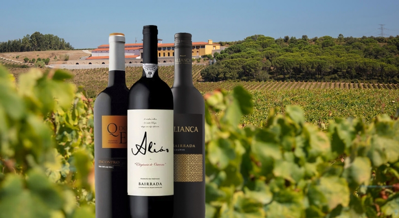 Imagem de Os vinhos portugueses por todo o lado