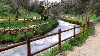 Imagem de Percurso pedestre junto ao rio Liz em Leiria