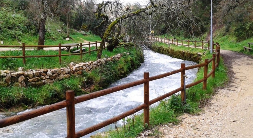 Imagem de Percurso pedestre junto ao rio Liz em Leiria