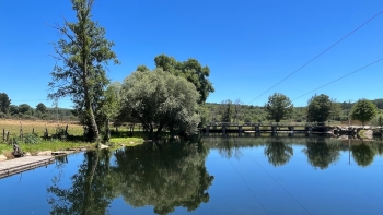 Imagem de Praia fluvial de Quadrazais