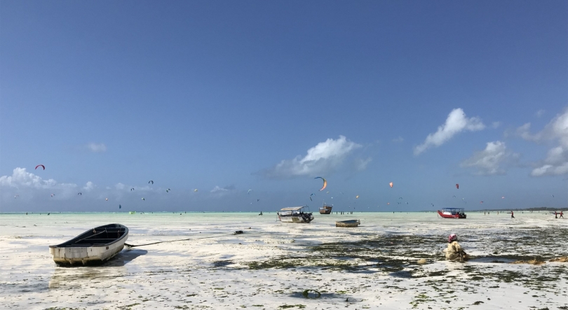 Imagem de Sara Mota vem falar de Zanzibar no domingo