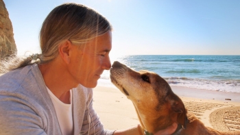 Imagem de A arte que o mar apaga