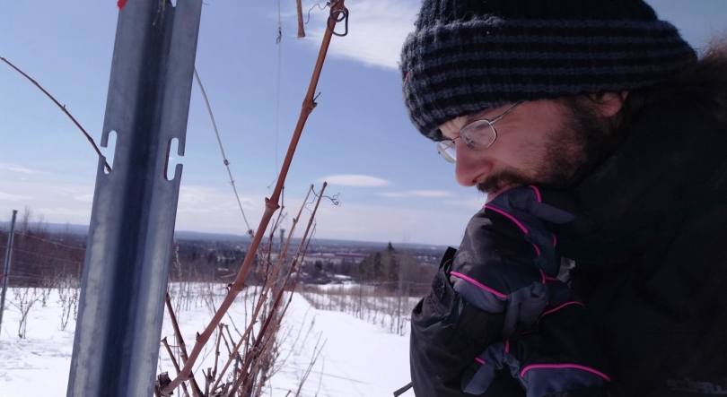 Imagem de José Santos, produção de vinho no Ontário