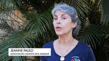 Imagem de Associação Amigos dos Animais em Moçambique