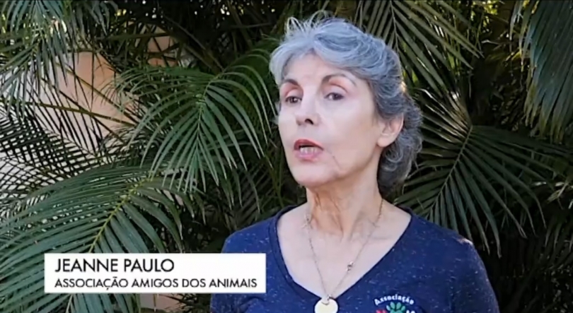 Imagem de Associação Amigos dos Animais em Moçambique