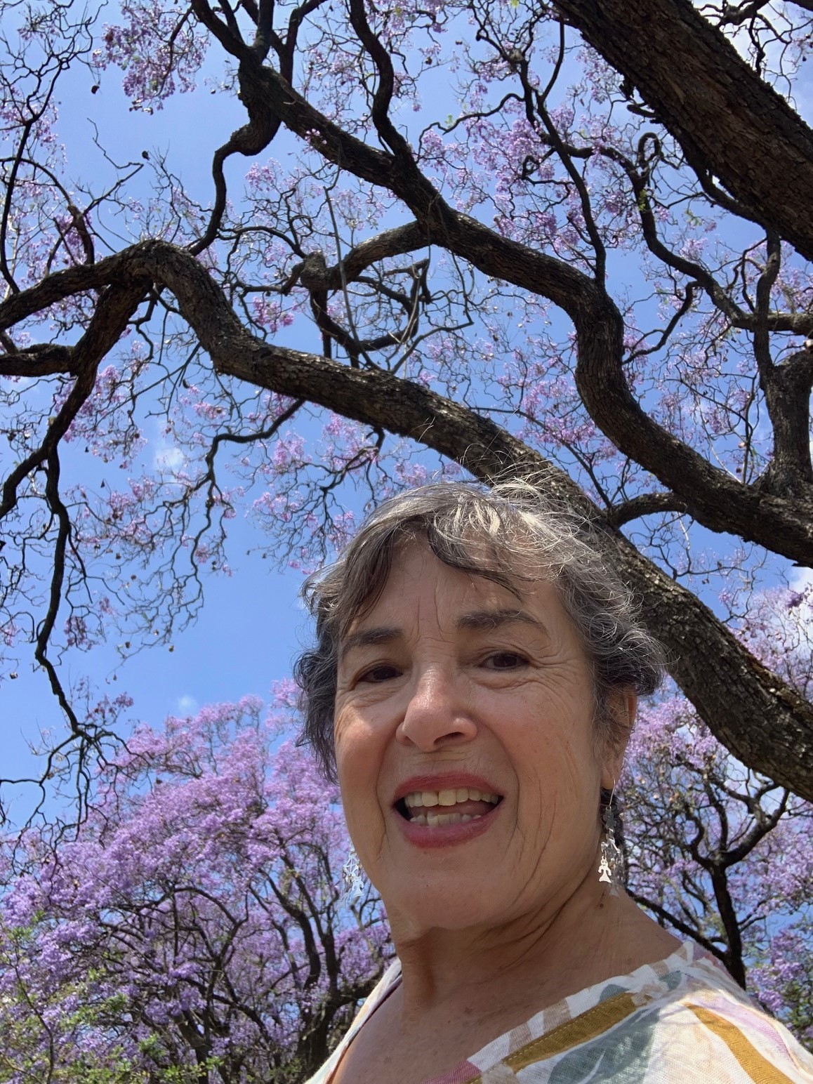 Manuela Marujo, académica em Toronto - RTP Mundo