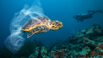 Imagem de SeaRubbish2Cap