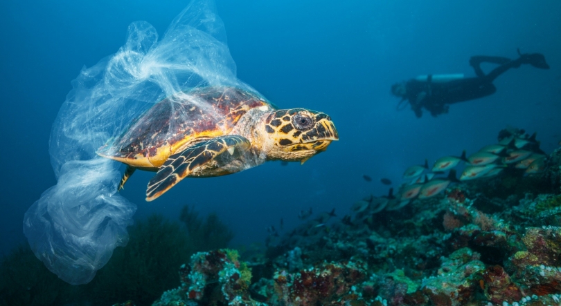 Imagem de SeaRubbish2Cap