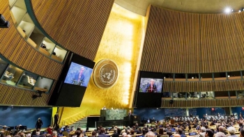 Imagem de Costa/ Marcelo; Madeira embaraço; ONU