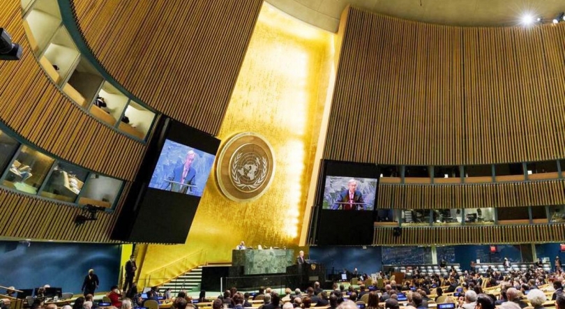 Imagem de Costa/ Marcelo; Madeira embaraço; ONU