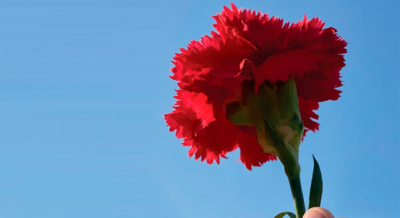 Imagem de 25 de Abril assinalado no Luxemburgo e na Suíça