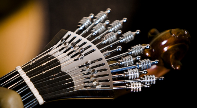 Imagem de Guitarra portuguesa no Luxemburgo e autores da diáspora em coletânea