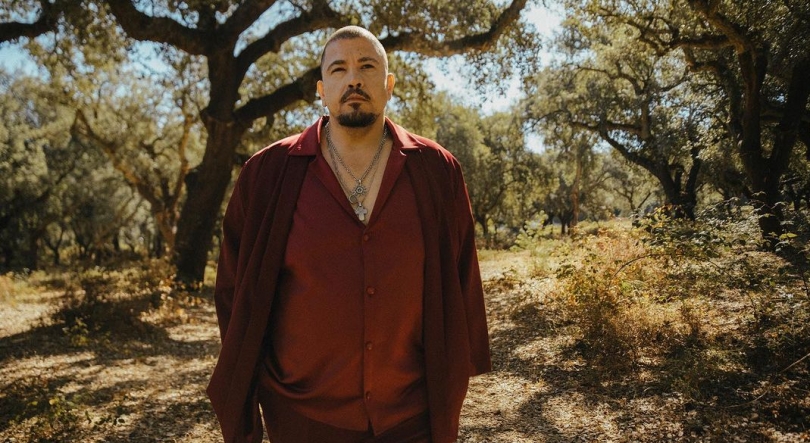 Imagem de Ricardo Ribeiro, “Vira-Voltas”