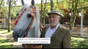 Imagem de Investigador português em França