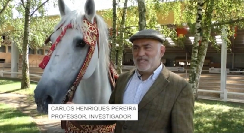 Imagem de Investigador português em França