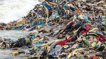 Imagem de Startup Up Value