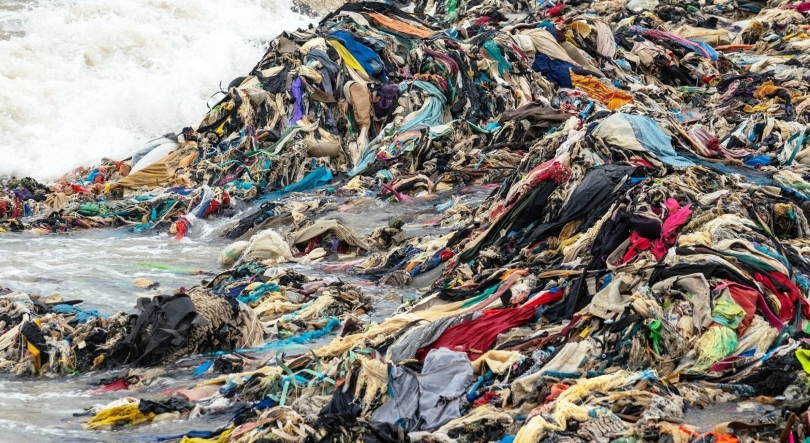 Imagem de Startup Up Value