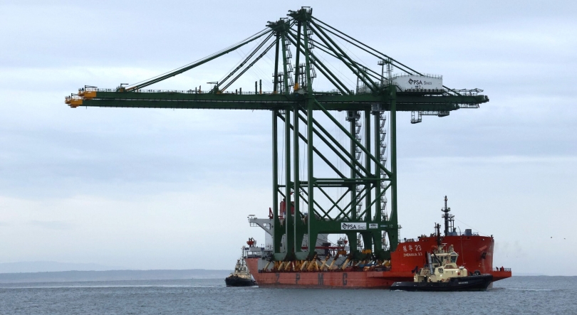 Imagem de Novos pórticos abrem Sines aos maiores navios porta-contentores na Península Ibérica
