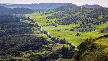 Imagem de Uma Periquita de sonho