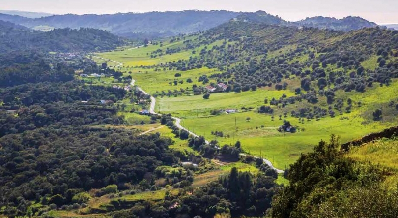 Imagem de Uma Periquita de sonho