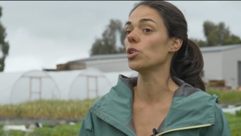 Imagem de Inês Santos, sustentabilidade e ética na Tasmânia